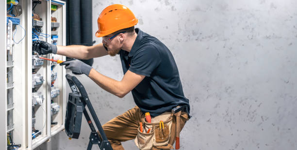 Best Electric Panel Repair  in Pleasanton, TX
